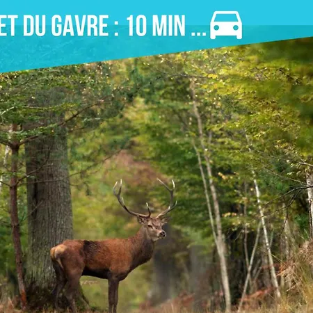 Maison De Envoutante, Experience Unique ! * Nozay (Loire-Atlantique)