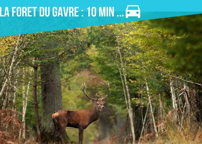 Maison De Envoutante, Experience Unique ! * Nozay