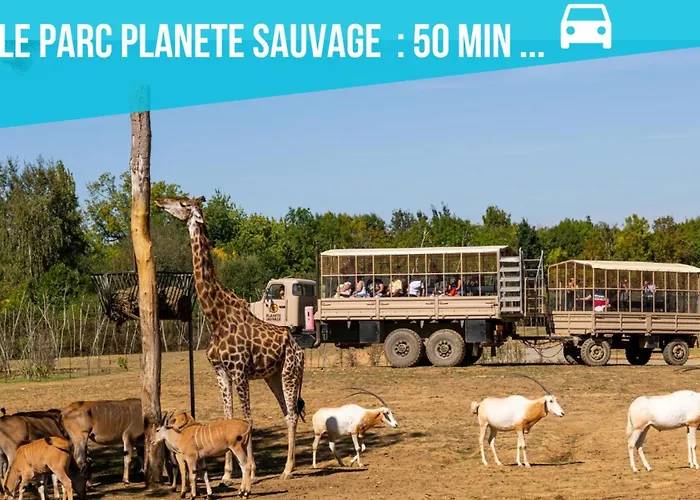 Maison De Envoutante, Experience Unique ! Nozay